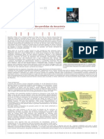 As Cidades Perdidas Da Amazônia - Scientific American Brasil - Duetto Editorial