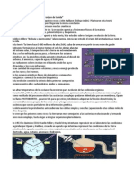 VIDEO Teoria Fisico Quimico Del Origen de La Vida - Oparin y Haldane - Herrera