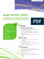 Audit OHSAS 18001 - Appréhender Le Contexte Du Management de La SST