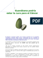 La Guanabana en La Cura Del Cancer