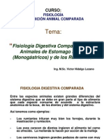 Fisiologia Digestiva Comparada