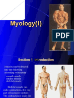 Introduction of Myology