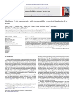 Modifying Fe3O4 Nanoparticles With Humic Acid For Removal of Rhodamine B in Water