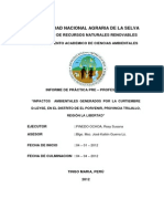 Impactos Ambientales Generados Por La Curtiembre D-Leyse, en El Distrito de El Porvenir, Provincia Trujillo, Region La Libertad