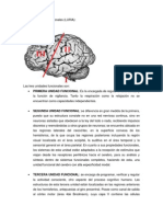 Las Tres Unidades Funcionales (LURIA)