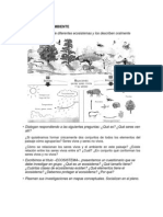 Eco Sistem As