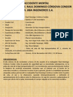 BBA Ingenieros SA - Accidente Mortal en Faja (2012.11.16)