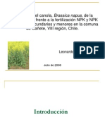 Fertilización Raps Canola