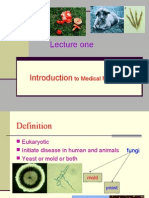 Introduction To Medical Mycology