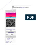 Bacteria: Bacterium (Genus) Bacteria (Disambiguation)