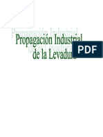 Seminario Propagación Industrial de La Levadura