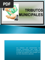 Tributos Municipales