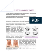 Mecanismo de Trabajo de Parto: Situacion, Presentacion, Actitud Y Variedad