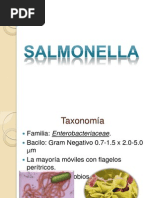 Salmonella 3