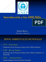 03 Derecho Internacional y Amumas