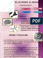 Archaea 1