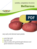 Bellarosa: Varieties, Competence & Service