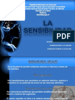 Diapositivas de La Sensibilidad Tema 09