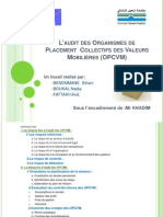 L - Audit Des OPCVM