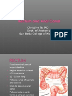 Rectum Anus Anatomy 2009 11-3