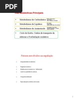 Principais Vias Metabolicas em Estado Alimentado, Jejum e Jejum Prolongado