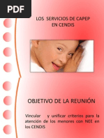 Los Servicios de Capep en Cendis