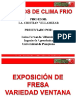 Exposicion de Fresa Ventana