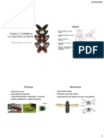 Apendices Locomotores em Insetos Aula Pratica