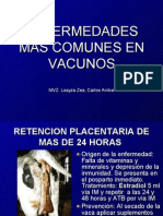 Enfermedades Mas Comunes en Vacunos