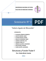 Seminario Infarto Agudo de Miocardio Grupo 1