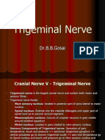 Trigeminal Nerve: Dr.B.B.Gosai