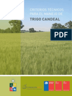 Criterios Tecnicos Trigo Candeal