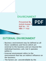 External Environment