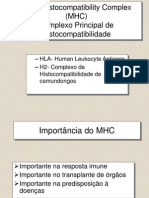 Histocompatibilidade e Transplantes