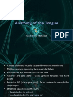 Anatomy of The Tongue