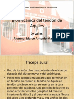 Biomecanica Del Tendon de Aquiles