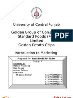 Marketing Report On Golden Chips Pakistan