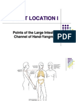 Class 2 - Hand Yangming Large-Intestine Channel