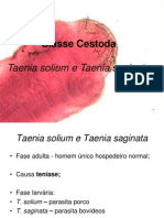 Taenia Solium e T. Saginata