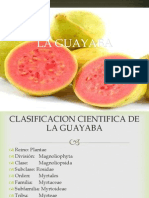 La Guayaba