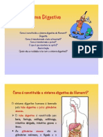 Sistema Digestivo