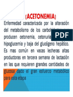 trabaCETOSIS (ACETONEMIA)