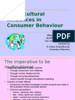 Cross-Cultural Influences in Consumer Behaviour