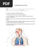 Examen Lingüística 1o 3 Mayo PDF