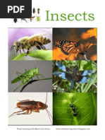 Insects