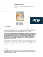 Partes Fundamentales Del Motor de Gasolina