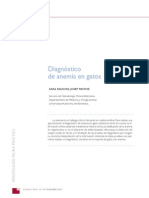 Diagnóstico de Anemia en Gatos - J.pastor