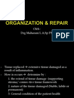 Organization & Repair