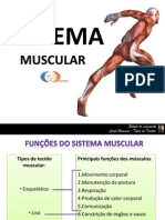 Sistema Muscular