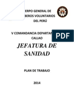 Plan de Trabajo 2014 Jefatura Sanidad